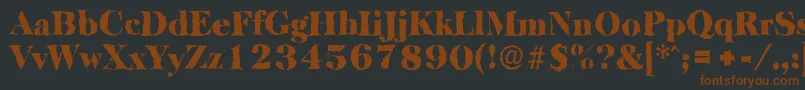 BaskervillerandomBlackRegular Font – Brown Fonts on Black Background