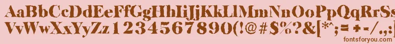 BaskervillerandomBlackRegular Font – Brown Fonts on Pink Background