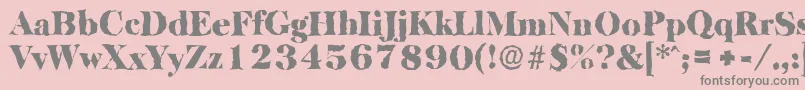 BaskervillerandomBlackRegular Font – Gray Fonts on Pink Background