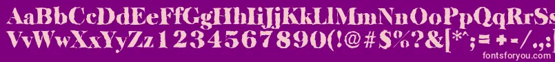 BaskervillerandomBlackRegular Font – Pink Fonts on Purple Background