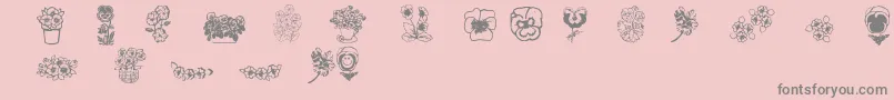 Подробнее о шрифте Pansies4sheila2 Шрифт Pansies4sheila2 – серые шрифты на розовом фоне