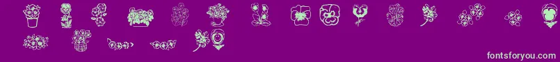 Pansies4sheila2 Font – Green Fonts on Purple Background