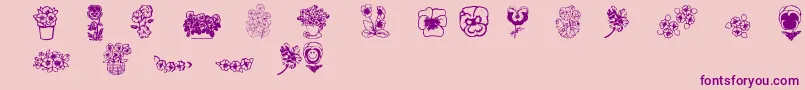 Pansies4sheila2 Font – Purple Fonts on Pink Background