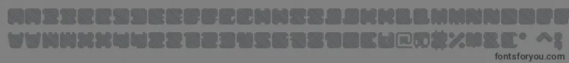 ShdTechnotypeItalic Font – Black Fonts on Gray Background