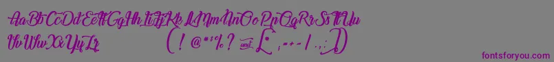 ChampionShipmate Font – Purple Fonts on Gray Background