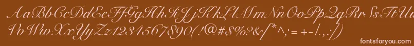 SnellbounddbNormal Font – Pink Fonts on Brown Background