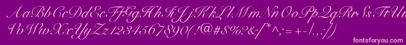SnellbounddbNormal Font – Pink Fonts on Purple Background