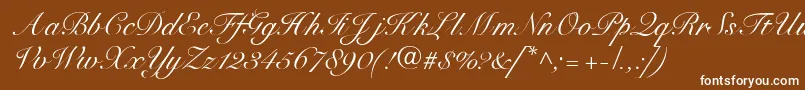 SnellbounddbNormal Font – White Fonts on Brown Background