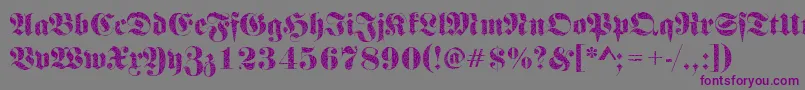 Frakturbrokenglass2Regular-Schriftart – Violette Schriften auf grauem Hintergrund