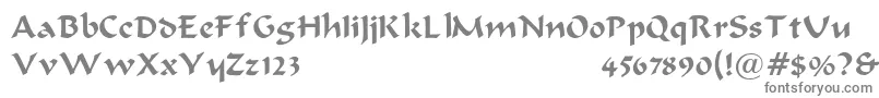 BodaciousNormal-Schriftart – Graue Schriften