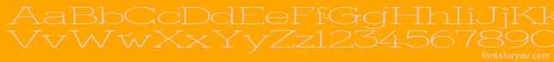 KingthingsSerifiqueUlWide Font – Pink Fonts on Orange Background