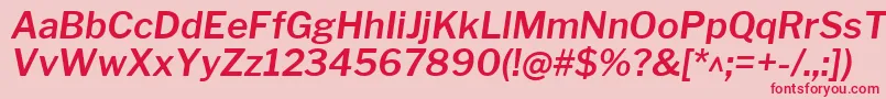フォントLibrefranklinSemibolditalic – ピンクの背景に赤い文字