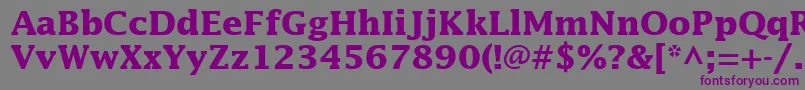 InsightSsiBold-Schriftart – Violette Schriften auf grauem Hintergrund