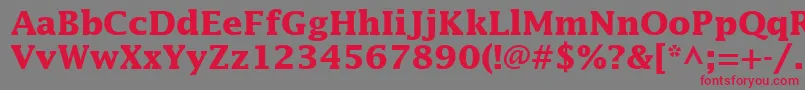 InsightSsiBold Font – Red Fonts on Gray Background