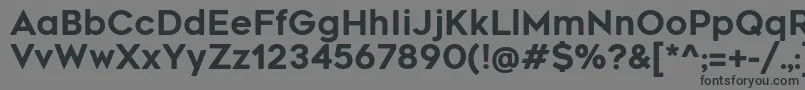 RenogaresoftRegular Font – Black Fonts on Gray Background