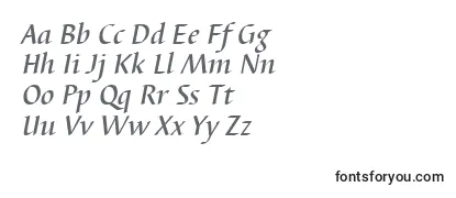BarbedortmedItalic Font