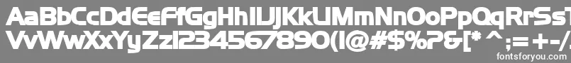 フォントNewtowB – 灰色の背景に白い文字