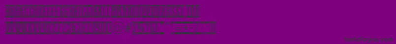 More about EmpirialcmspRegular Font EmpirialcmspRegular Font – Black Fonts on Purple Background