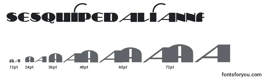 Размеры шрифта SesquipedalianNf