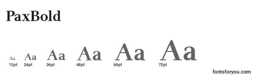 PaxBold Font Sizes