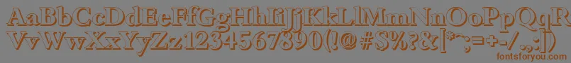 BambergshadowBold Font – Brown Fonts on Gray Background