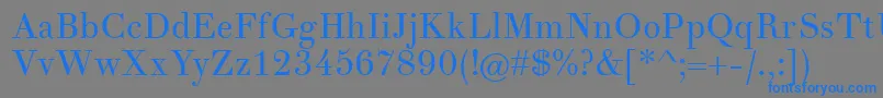 フォントTheanoDidotRegular – 灰色の背景に青い文字