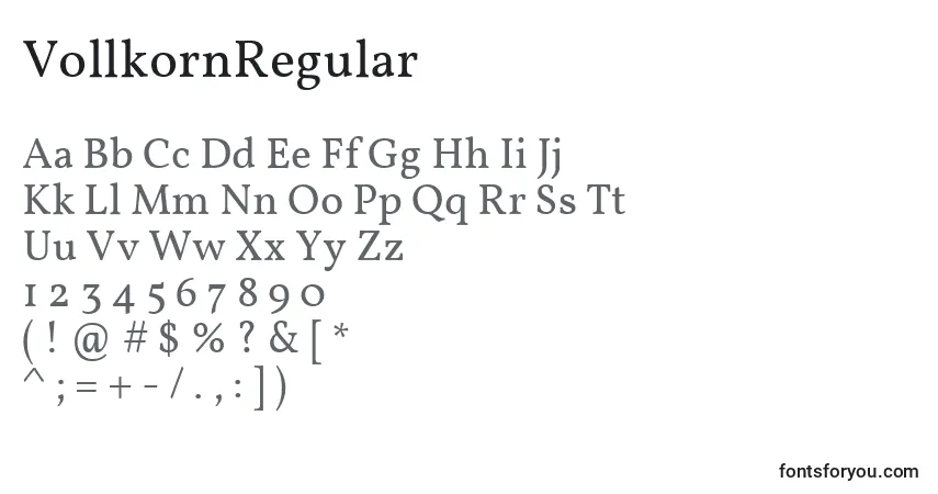 Czcionka VollkornRegular – alfabet, cyfry, specjalne znaki