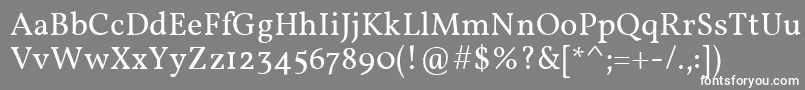 フォントVollkornRegular – 灰色の背景に白い文字