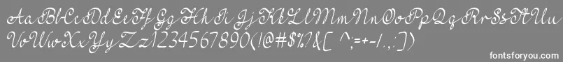 フォントFeelMyHeartTtf – 灰色の背景に白い文字