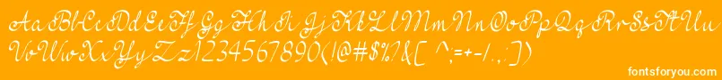FeelMyHeartTtf Font – White Fonts on Orange Background