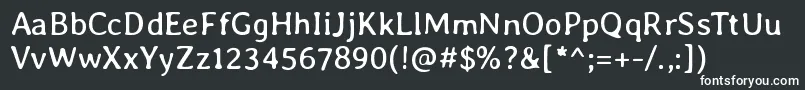 フォントAverialibreRegular – 白い文字