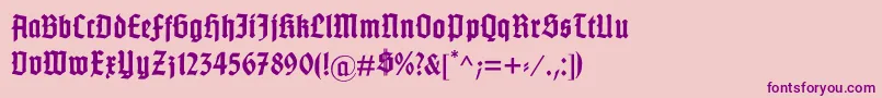 GotenburgB Font – Purple Fonts on Pink Background