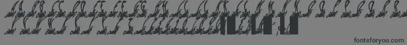 Habspasshavefun-Schriftart – Schwarze Schriften auf grauem Hintergrund