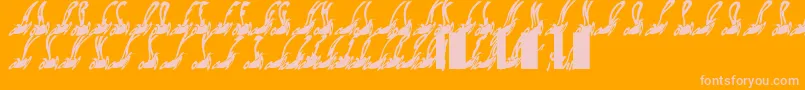 Habspasshavefun-Schriftart – Rosa Schriften auf orangefarbenem Hintergrund