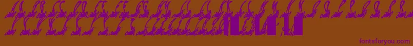 Habspasshavefun Font – Purple Fonts on Brown Background