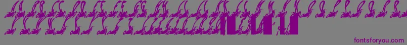 Czcionka Habspasshavefun – fioletowe czcionki na szarym tle