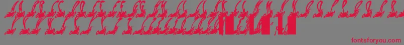 Habspasshavefun Font – Red Fonts on Gray Background
