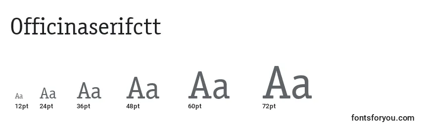 Officinaserifctt Font Sizes