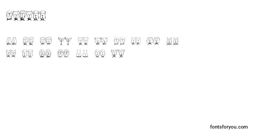 Fuente Gebell - alfabeto, números, caracteres especiales