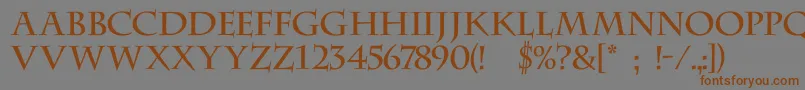 DsCenturycapitals Font – Brown Fonts on Gray Background