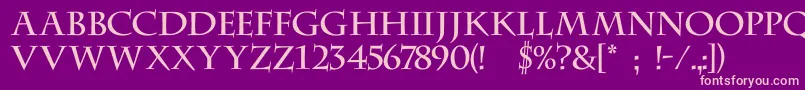 DsCenturycapitals Font – Pink Fonts on Purple Background