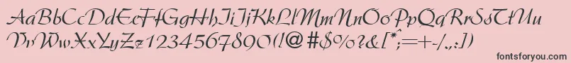 ArgentineRegularDb-fontti – mustat fontit vaaleanpunaisella taustalla