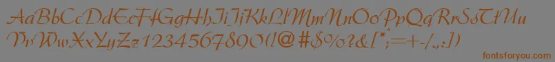 ArgentineRegularDb Font – Brown Fonts on Gray Background