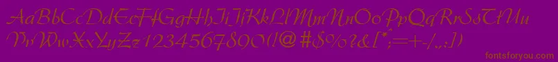 Шрифт ArgentineRegularDb – коричневые шрифты на фиолетовом фоне