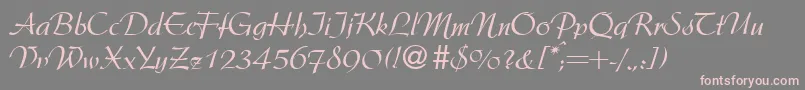 ArgentineRegularDb Font – Pink Fonts on Gray Background