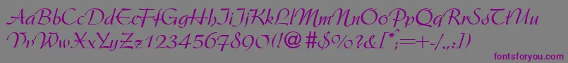 ArgentineRegularDb-fontti – violetit fontit harmaalla taustalla