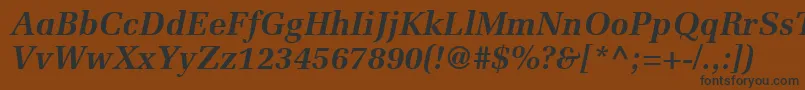 ProtocolSsiBoldItalic Font – Black Fonts on Brown Background