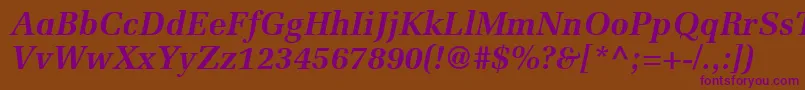 ProtocolSsiBoldItalic Font – Purple Fonts on Brown Background