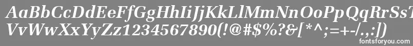 ProtocolSsiBoldItalic Font – White Fonts on Gray Background