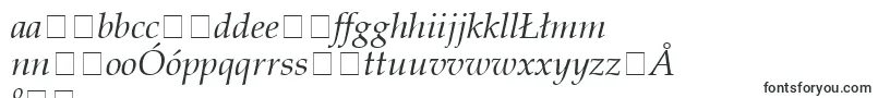 PaltonItalic-Schriftart – polnische Schriften